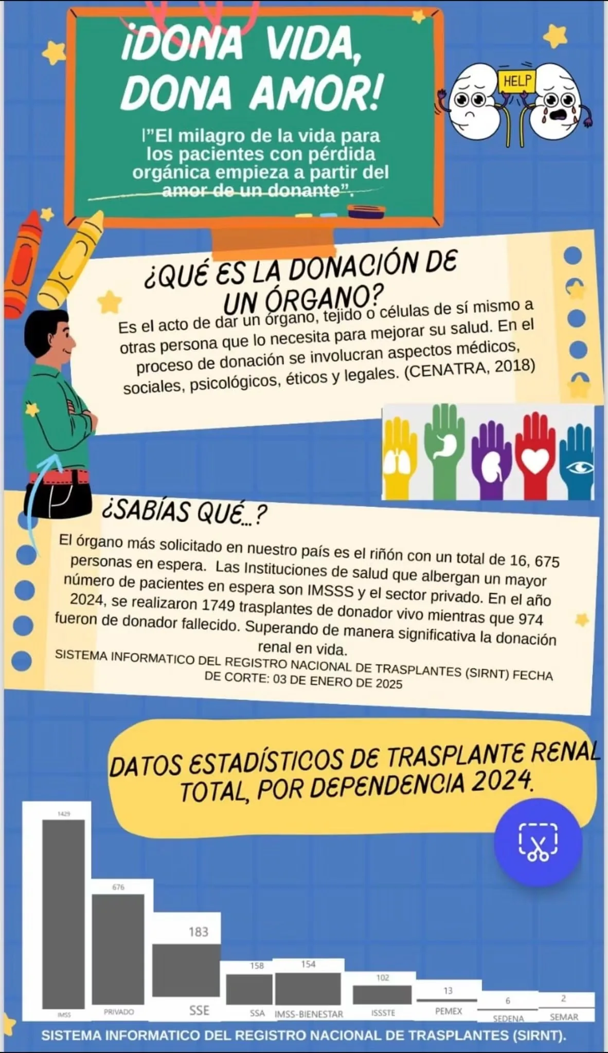 Infografía sobre donación de órganos